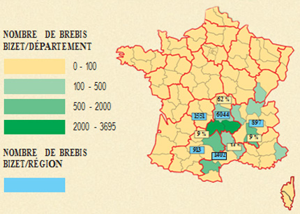 Implantation de la race Bizet