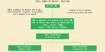 Organisme de sélection ROM