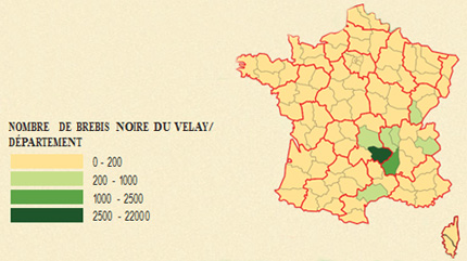 Implantation de la race Noire du Velay