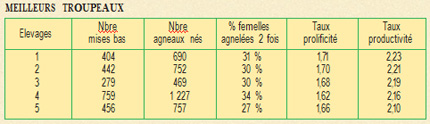 Productivité Noire du Velay